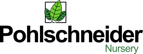 Pohlschneider Nursery